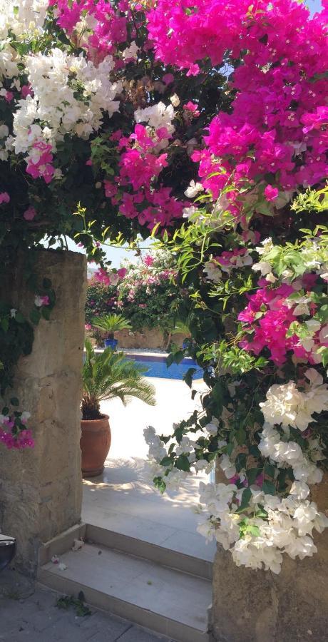 Vila Casa Santos Kyrenia Kyrenia  Exteriér fotografie