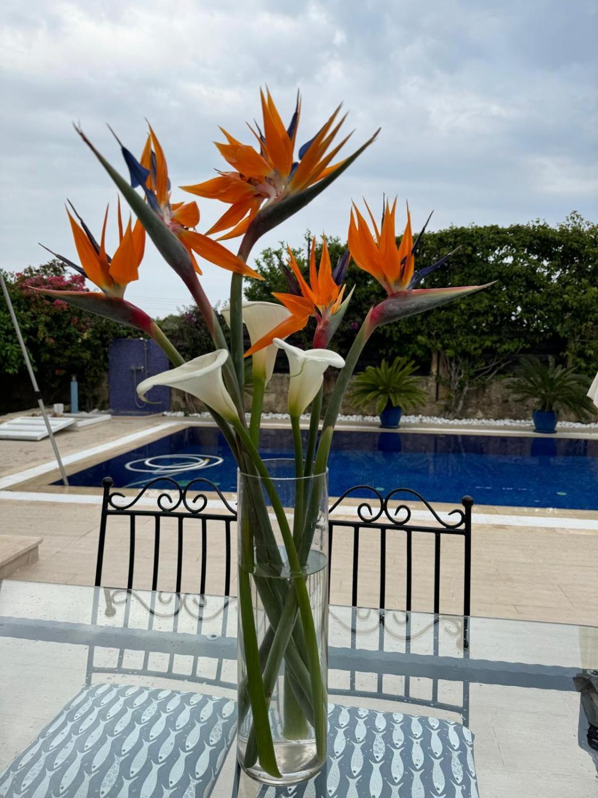 Vila Casa Santos Kyrenia Kyrenia  Exteriér fotografie